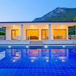 Albina Villa Uzumlu (Aegean)