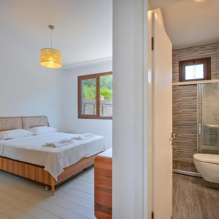 Villa Albina Uzumlu (Aegean)