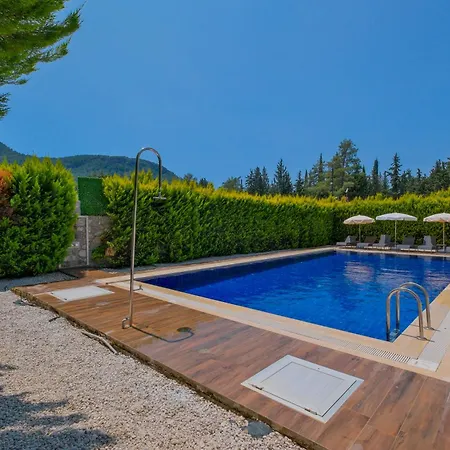 Villa Albina Uzumlu (Aegean)