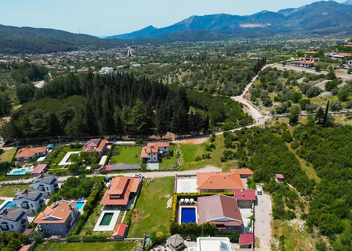 Albina Villa
