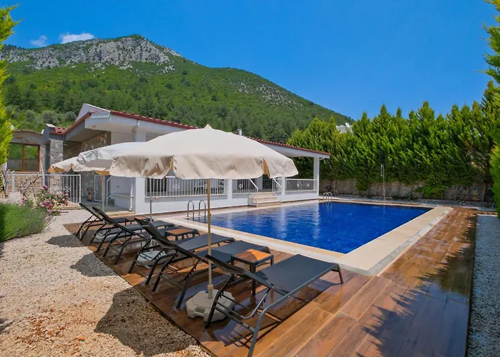 Villa Albina *