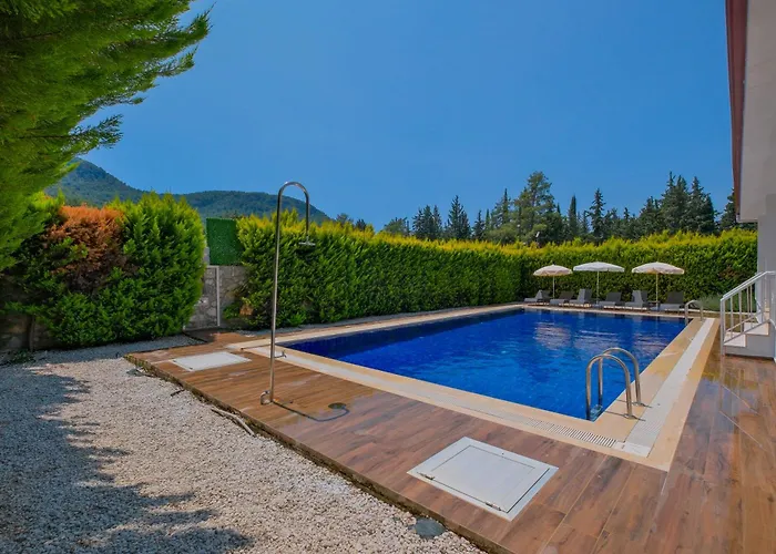 Villa Albina Uzumlu (Aegean)