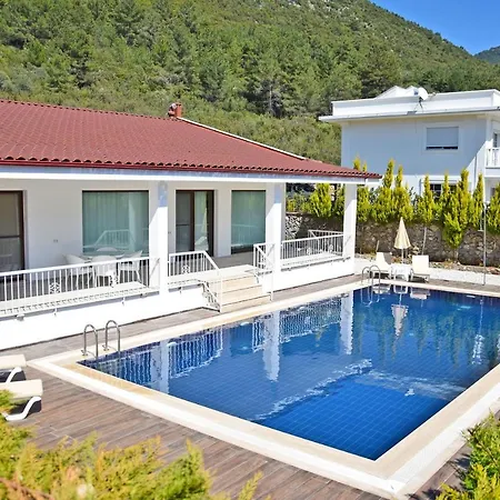 Albina Villa *