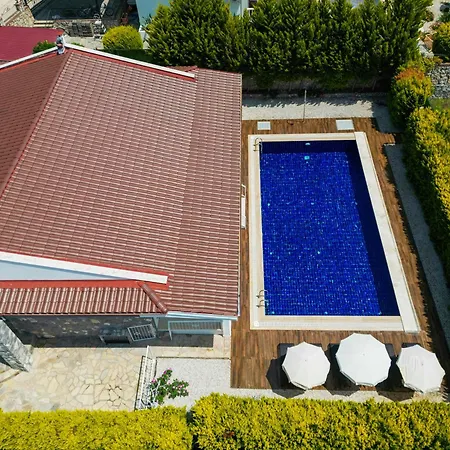 Albina Villa *
