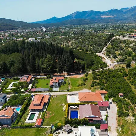 Albina Villa