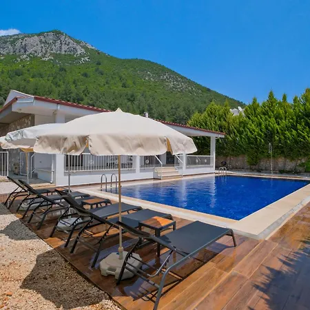 Villa Albina *