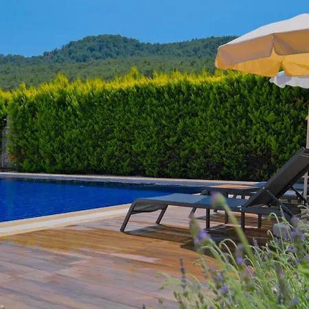 Villa Albina *