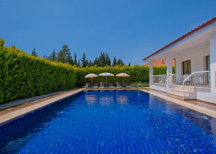 Albina Вилла Узюмлю